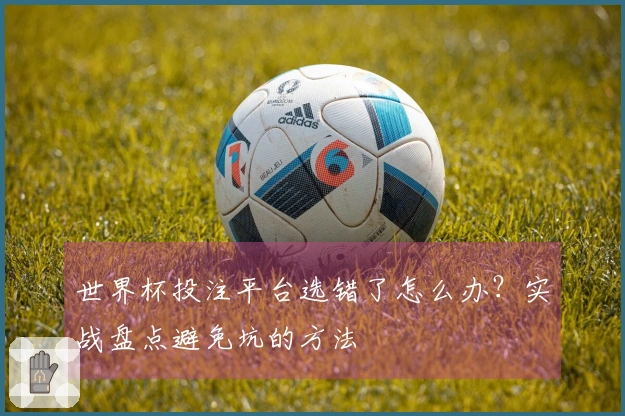 世界杯投注平台选错了怎么办？实战盘点避免坑的方法
