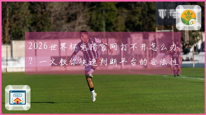 2026世界杯竞猜官网打不开怎么办？一文教你快速判断平台的合法性与安全性